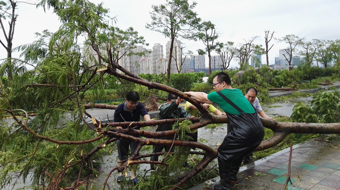 城市环境所积极开展台风灾后自救