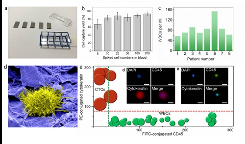 理化所高效循环肿瘤细胞捕获的石墨烯芯片研究