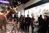 与会代表参观国家动物博物馆