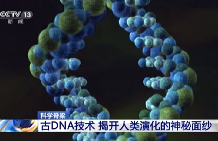 【新闻直播间】科学脊梁：古DNA技术 揭开人类演化的神秘面纱