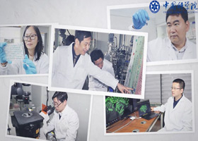 天津工业生物技术研究所人工合成淀粉团队