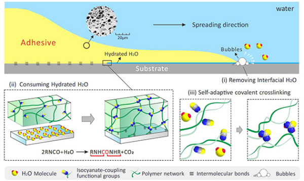 关注！上海交通执法部门查处普通货运车辆违规运输3M胶黏剂危险化学品案件