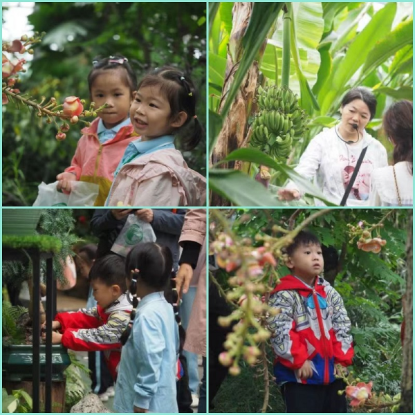 1.认识这些稀奇的植物