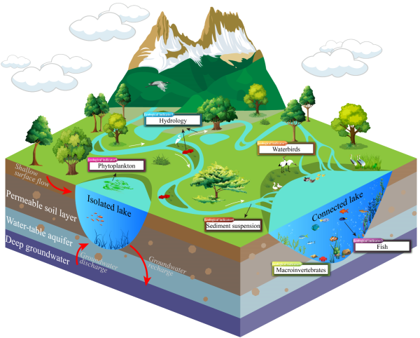 基于生态因子对水力学参数适应阈值的水文连通性评估研究获进展