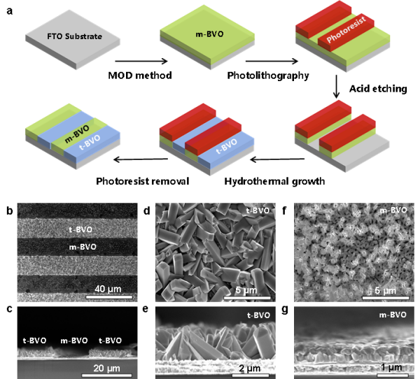 U020261020512490418258.png