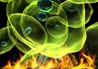 上海生科院发现基于多肽类YAP抑制剂的肿瘤治疗新途径