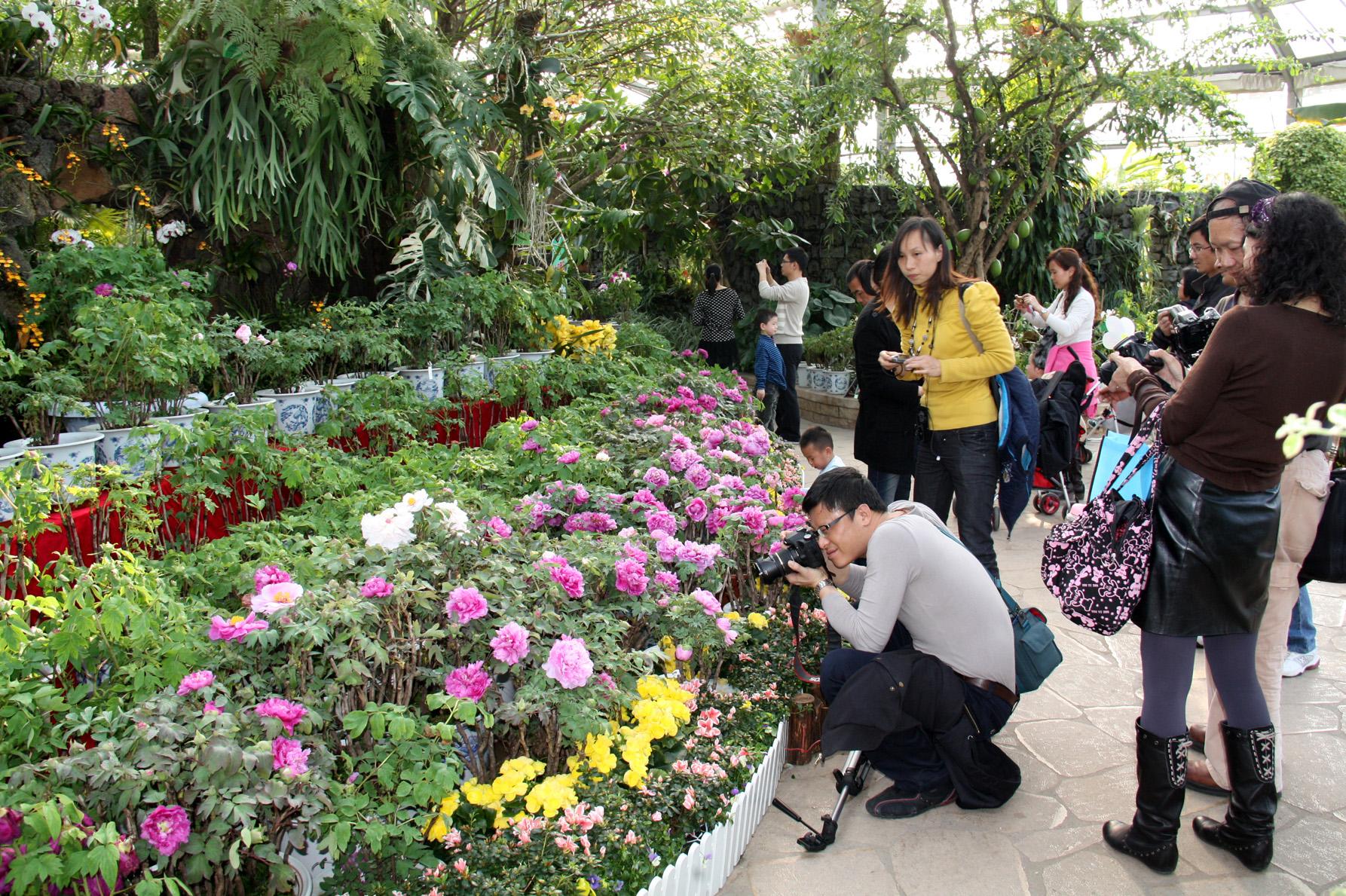 【携程攻略】武汉武汉植物园景点,个人觉得在武汉，武汉市植物园是一个必须要去的地方，武汉市植物园坐…