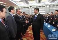 习近平看望参加政协会议的民盟致公党无党派人士侨联界委员