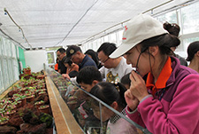 “食虫植物大揭秘”特色科普活动