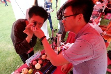 果实品质大揭秘