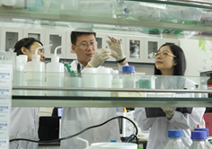 我国建成国际规模最大的激酶靶点细胞筛选库