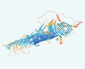科学家借助AI技术破解蛋白质结构预测难题