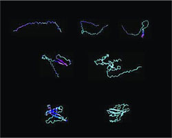 神经网络设计出全新蛋白质