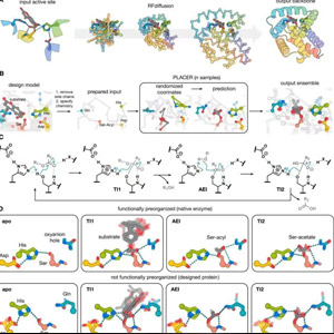 人工智能“从零开始”设计蛋白酶