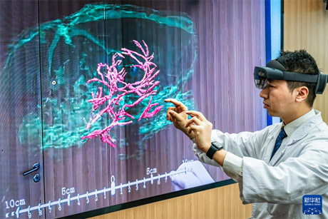 脑机接口与大鼠大脑主要血管和脑组织的空间位置关系精准呈现