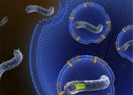 揭示埃博拉病毒演化及遗传多样性特征
