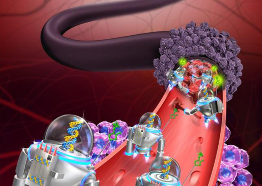 研制出用于肿瘤治疗的智能型DNA纳米机器人