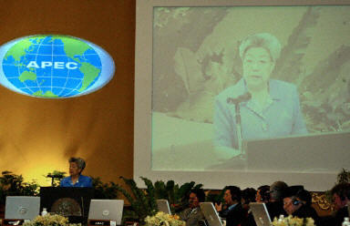 吴仪28日出席了APEC卫生部长会议并作演讲