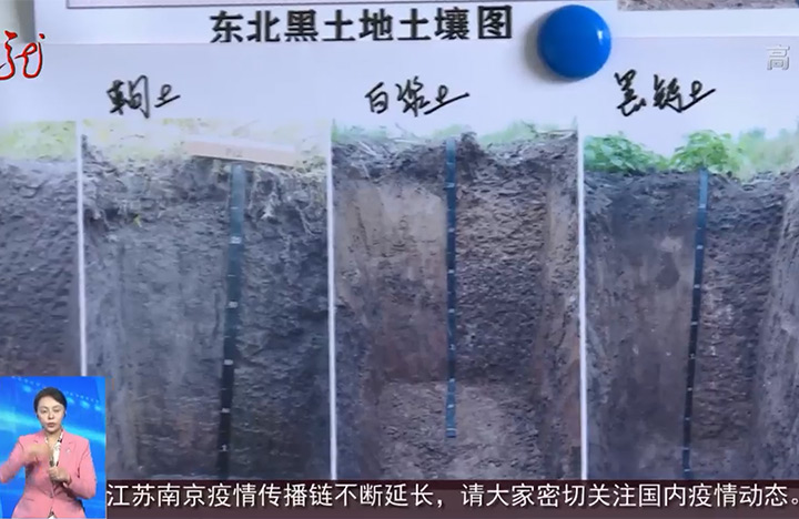 【黑龙江卫视】“龙江模式”的答案｜消失的耕地回来了