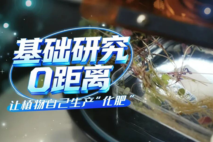 植物自己生产“化肥”的密码，被他们破解了！
