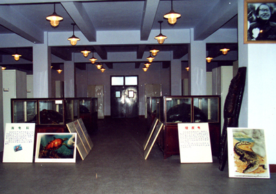 成都生物所的两栖爬行动物标本馆