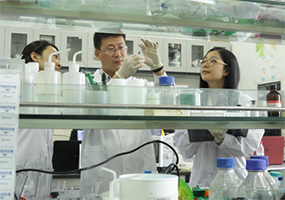 我国建成国际规模最大的激酶靶点细胞筛选库