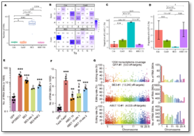 发现单碱基基因编辑造成大量脱靶并开发出优化解决方法