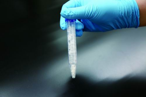 十年磨一剑！人工合成淀粉“降本增效”攻关记