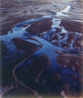 塔里木河支流图片