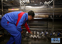 科考人员在“探索一号”船上整理从深海获取的样品