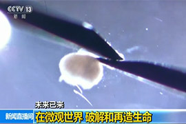 在微观世界 破解和再造生命