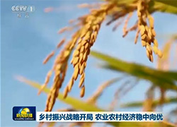 【新闻联播】乡村振兴战略开局 农业农村经济稳中向优