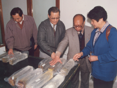 1995年，严东生陪同中科院副院长胡启恒参观上海硅酸盐所中试基地锗酸铋生产线