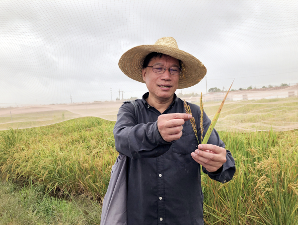 人民日报】何祖华：抗病救稻，只为稻花更香----中国科学院最美科技工作者