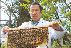 谭垦：不怕蜜蜂蜇的大学教授