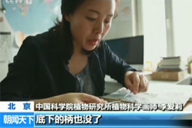 李爱莉：为植物大国绘就新绿