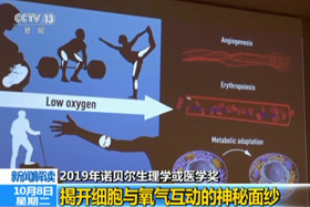 【新闻直播间】2019年诺贝尔生理学或医学奖：揭开细胞与氧气互动的神秘面纱