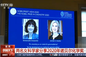 【新闻直播间】2020年诺贝尔化学奖揭晓：两位女科学家分享诺贝尔化学奖