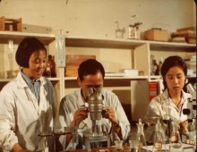 世界首例体细胞克隆鱼诞生记