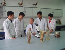 2003年赵尔宓院士在指导学生鉴定标本