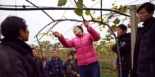 传经送宝 产业扶贫（猕猴桃技术指导）