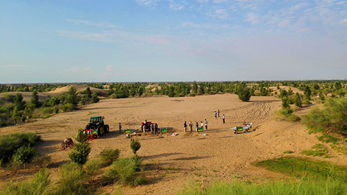 库布其治沙奇迹
