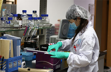 ACE小鼠攻关团队